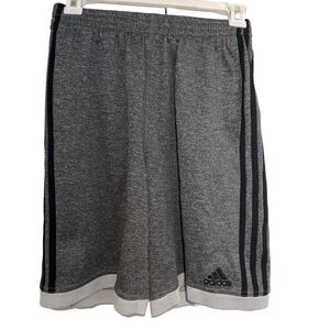 Adidas Shorts with Stripes on sides